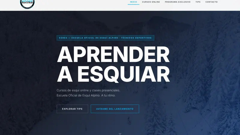 Captura de la web de ESOES diseñada por Cuadruple.com