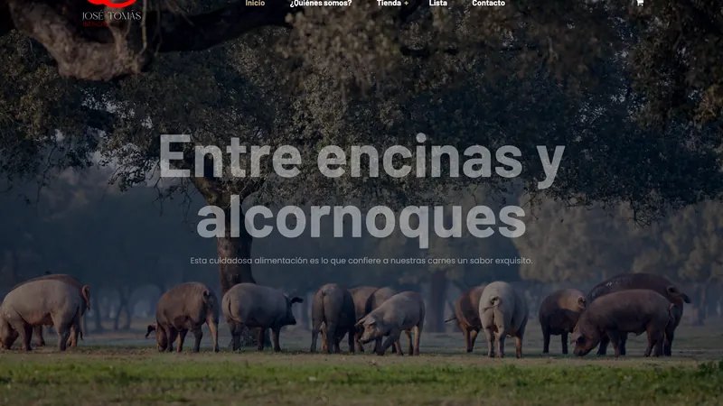 Captura de la web de José Tomás Ibéricos diseñada por Cuadruple.com