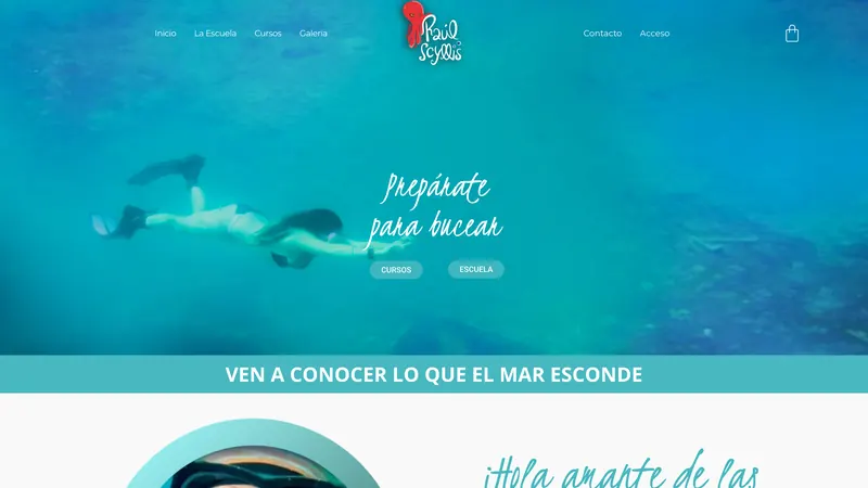 Captura de la web de Raúl Scyllis diseñada por Cuadruple.com